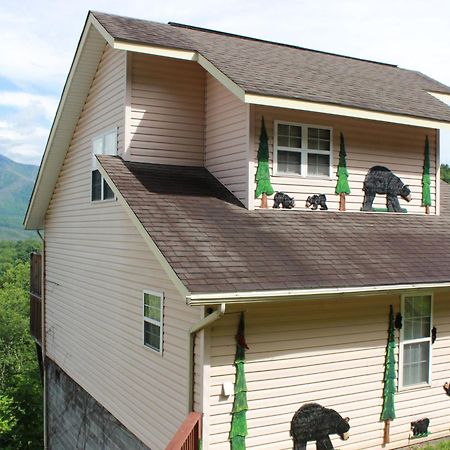 Private Chalet in Gatlinburg, Awesome Views, Work Desk, Wifi, Hot Tub&Dog-Friendly Exterior foto