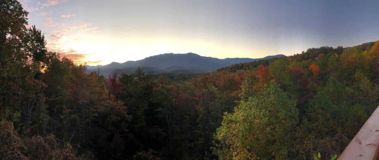 Private Chalet in Gatlinburg, Awesome Views, Work Desk, Wifi, Hot Tub&Dog-Friendly Exterior foto