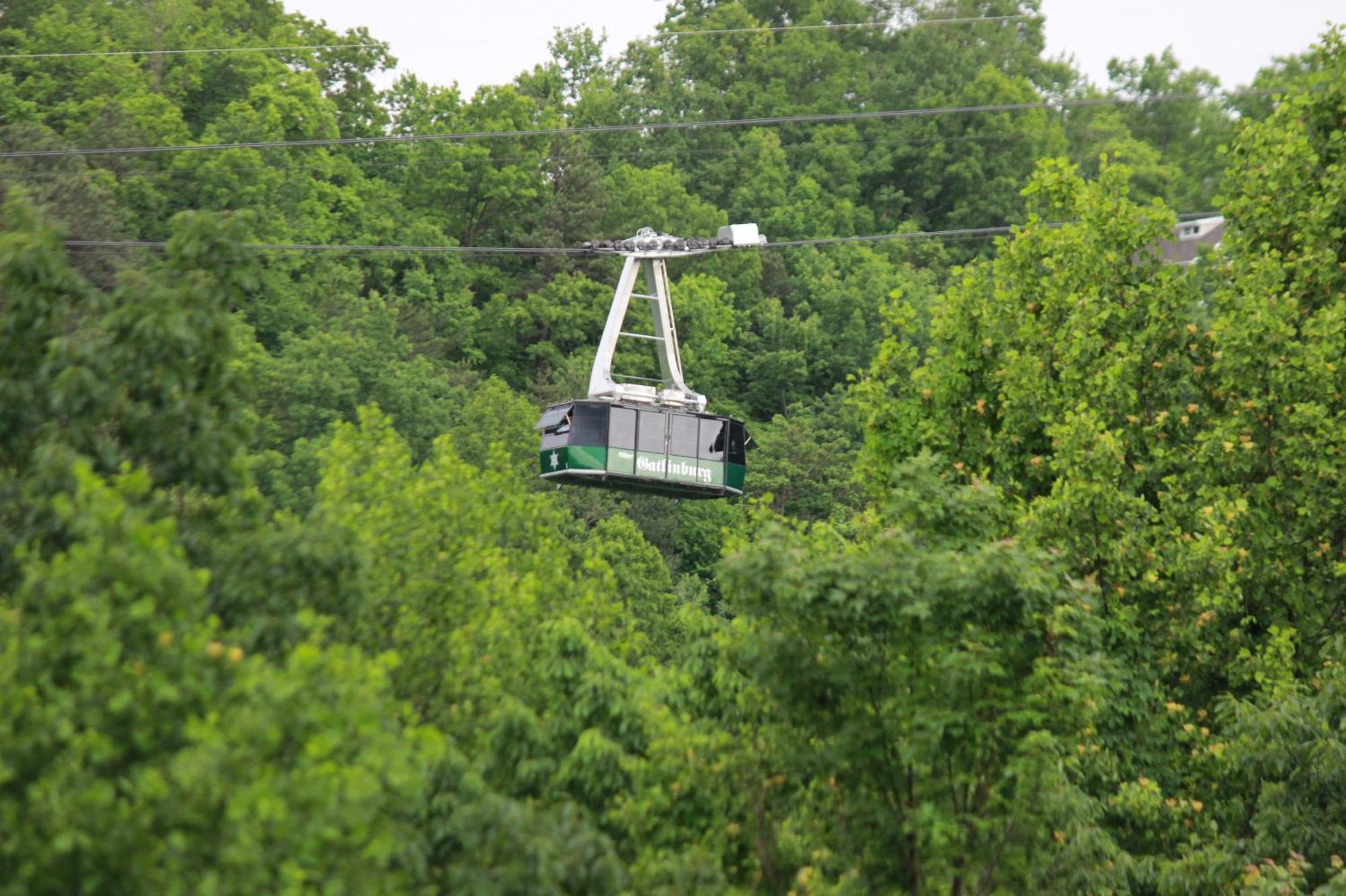 Private Chalet in Gatlinburg, Awesome Views, Work Desk, Wifi, Hot Tub&Dog-Friendly Exterior foto